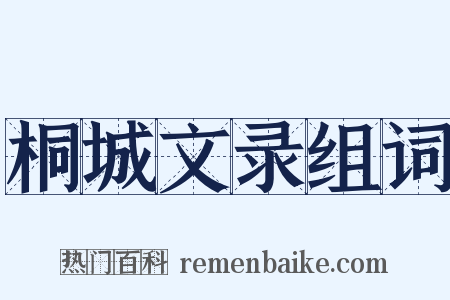 桐城文录组词是什么意思的图片